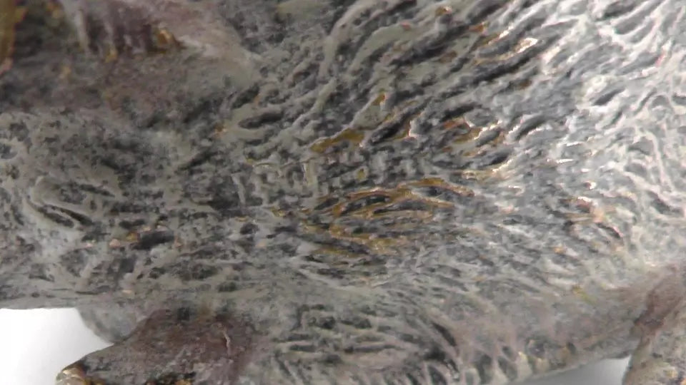 19th Century Austrian Bronze Hedgehog Pen Wipe