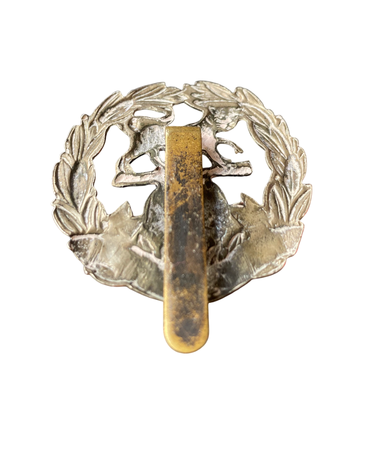 WW II Hampshire Regiment Bi-metal Cap Badge