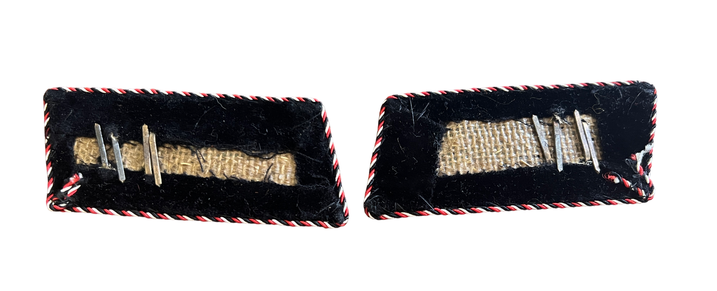 Rare Pre-1930 Weimar Era German Paramilitary SA / Freikorps Collar Tabs – Matching Pair, Standarte 12