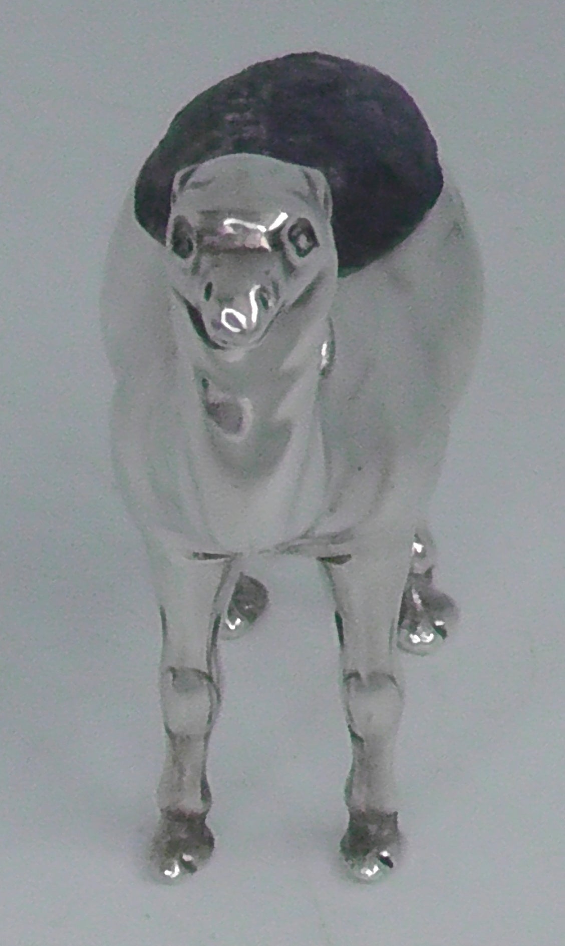 Antique Solid Silver Camel Cushion by Saunders & Shepherd dates 1906
