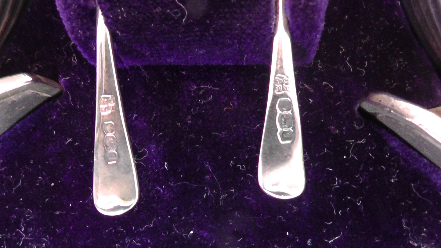 Cased Solid Silver Victorian Salts and Spoons - Date 1895